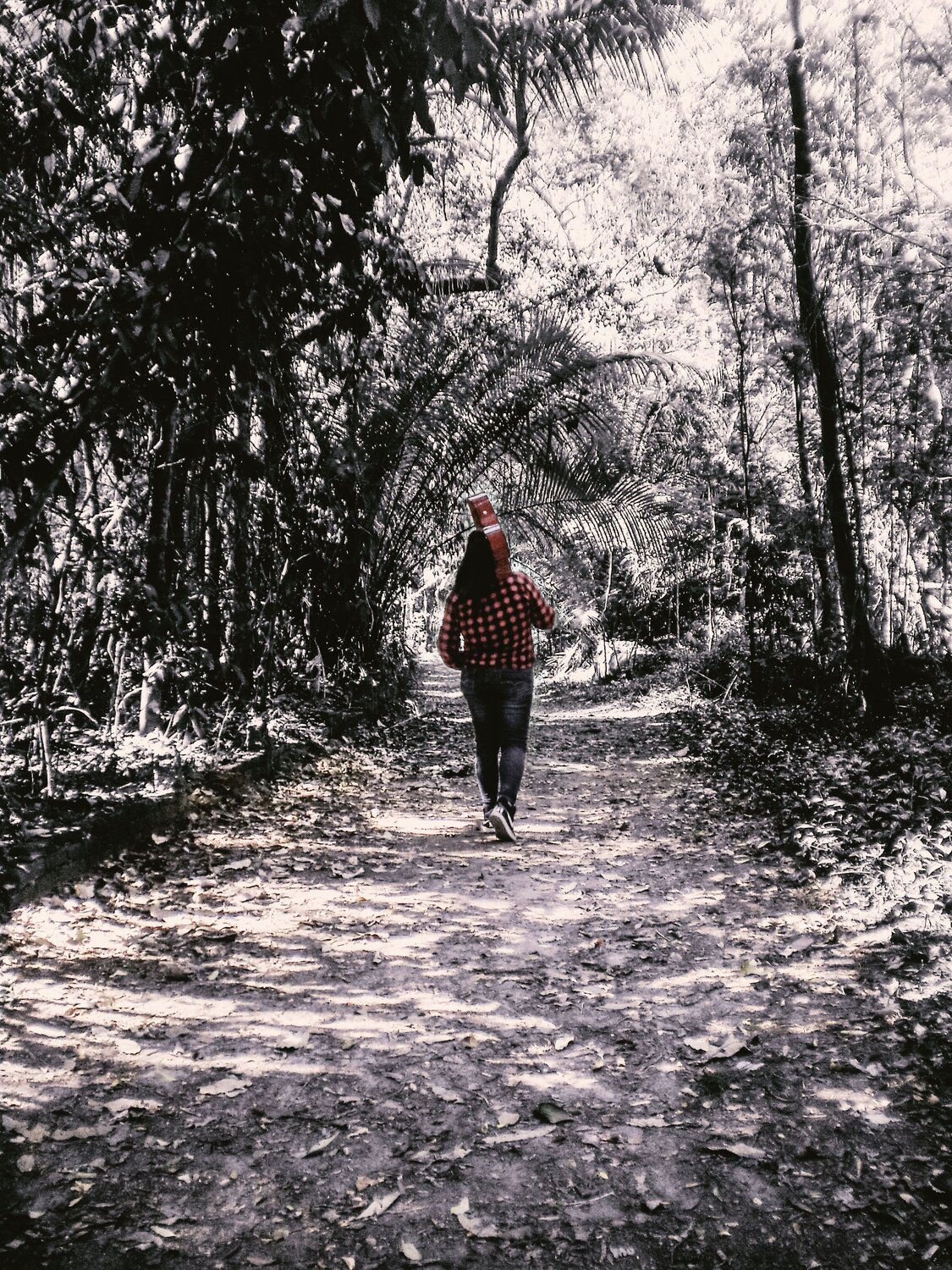 Walking