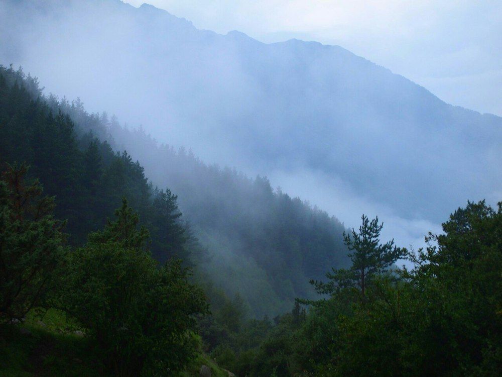 Photograph by Александра Асоскова