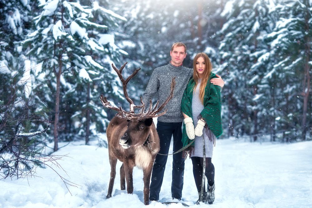 Зимняя прогулка