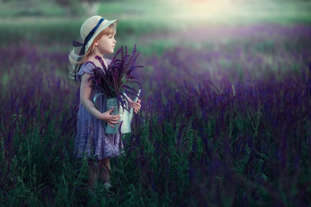 В поле шалфея.