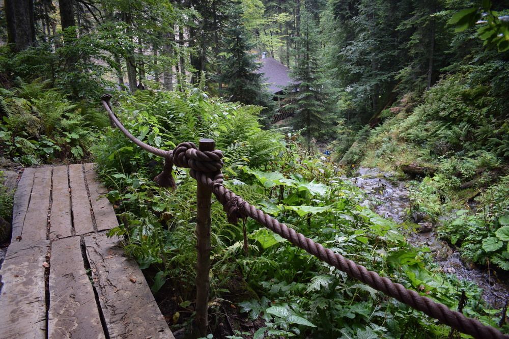 Из офиса к истокам.