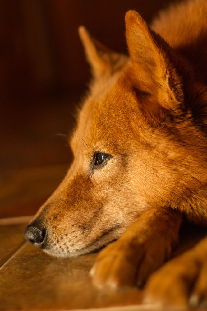 Photograph by Ольга