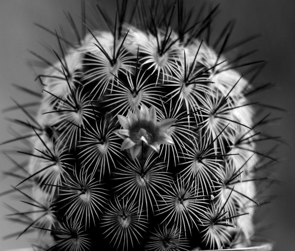 Photograph by Андрей Марченко