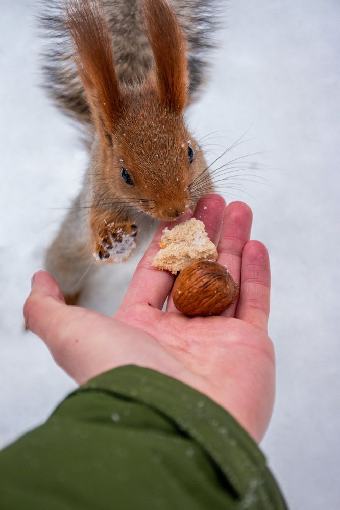Photograph by Волков Станислав