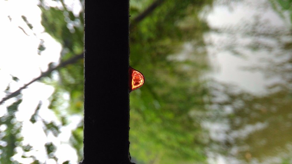 Photo #2990743