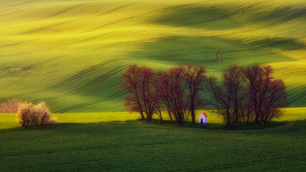 Waves of Moravia