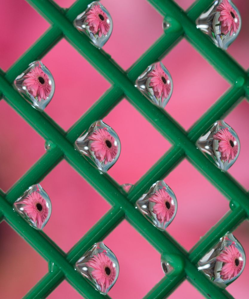 После дождика!