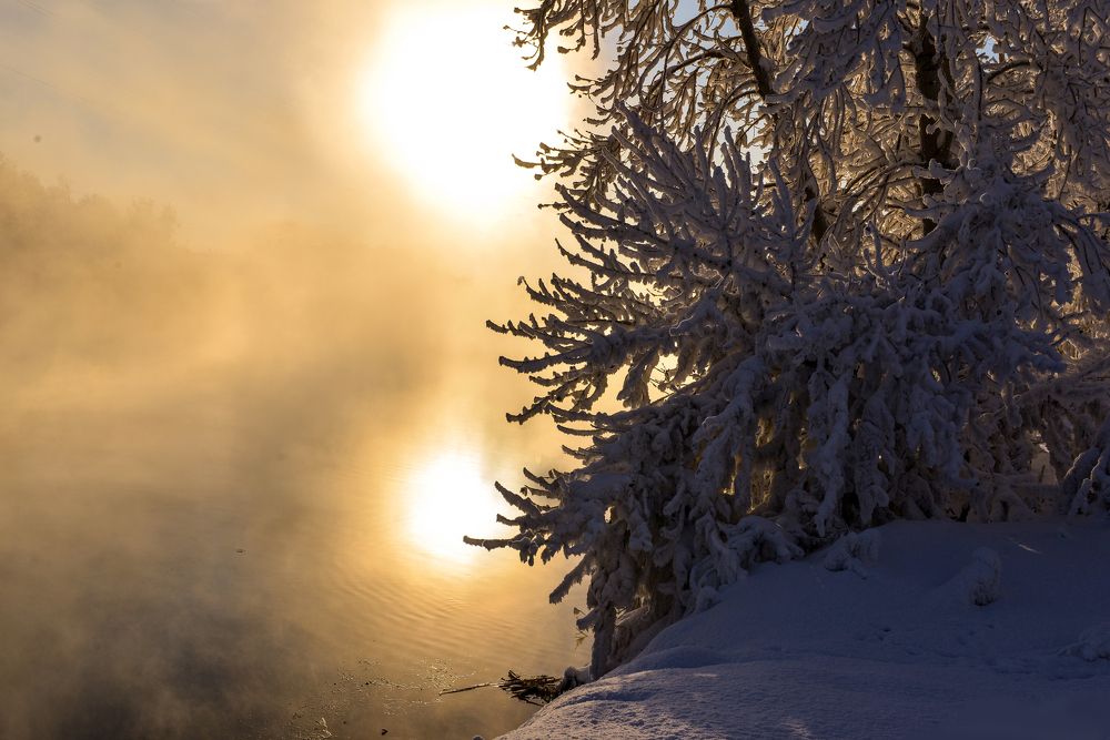 Два солнышка выглянуло