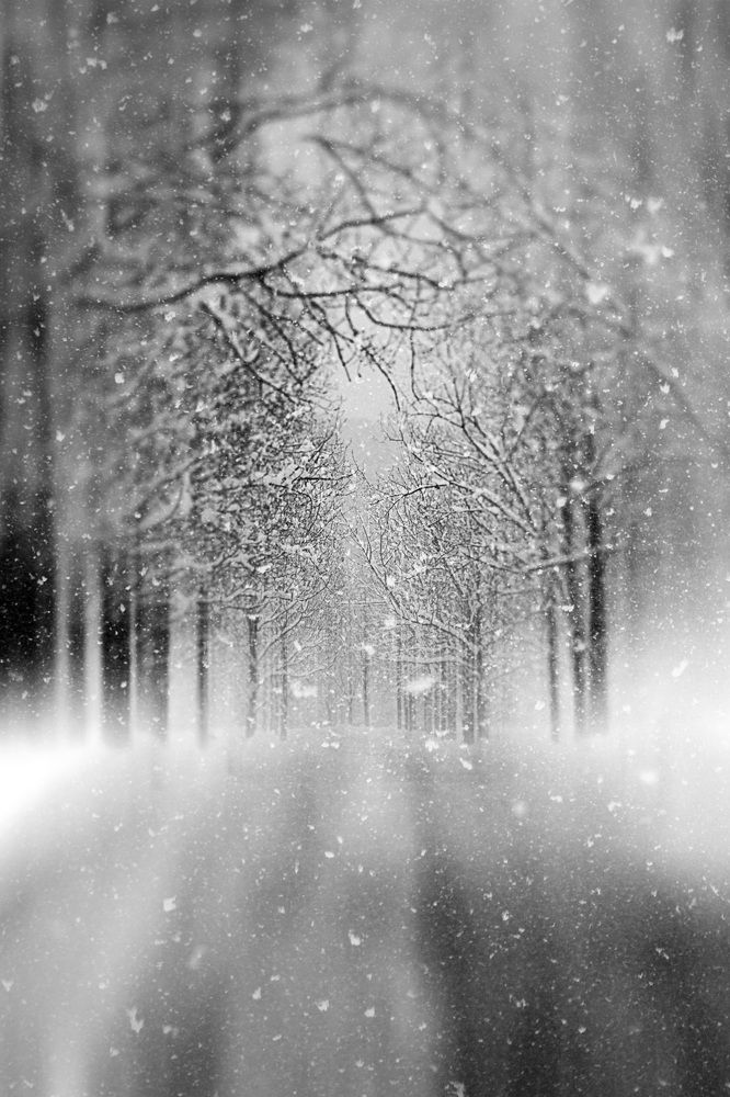 In a World of One Color