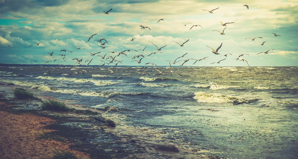 Photograph by Александр Забавка