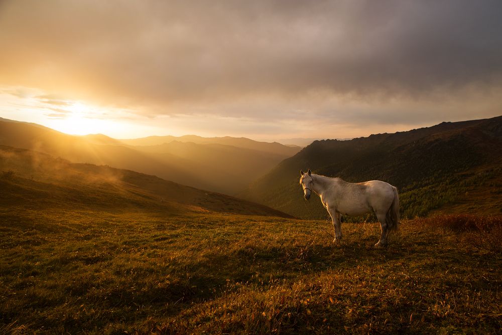 Кучерлинская осень