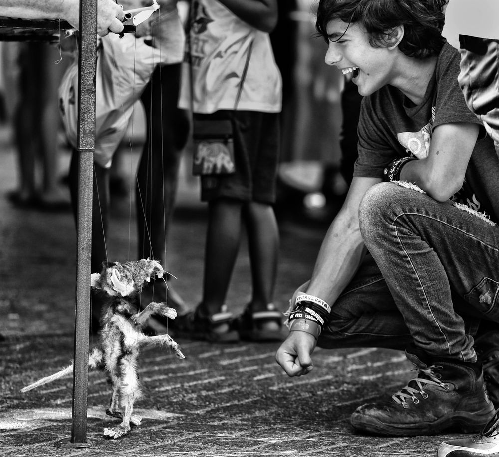 Привет, крыс!