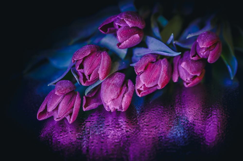 Весеннее дыхание