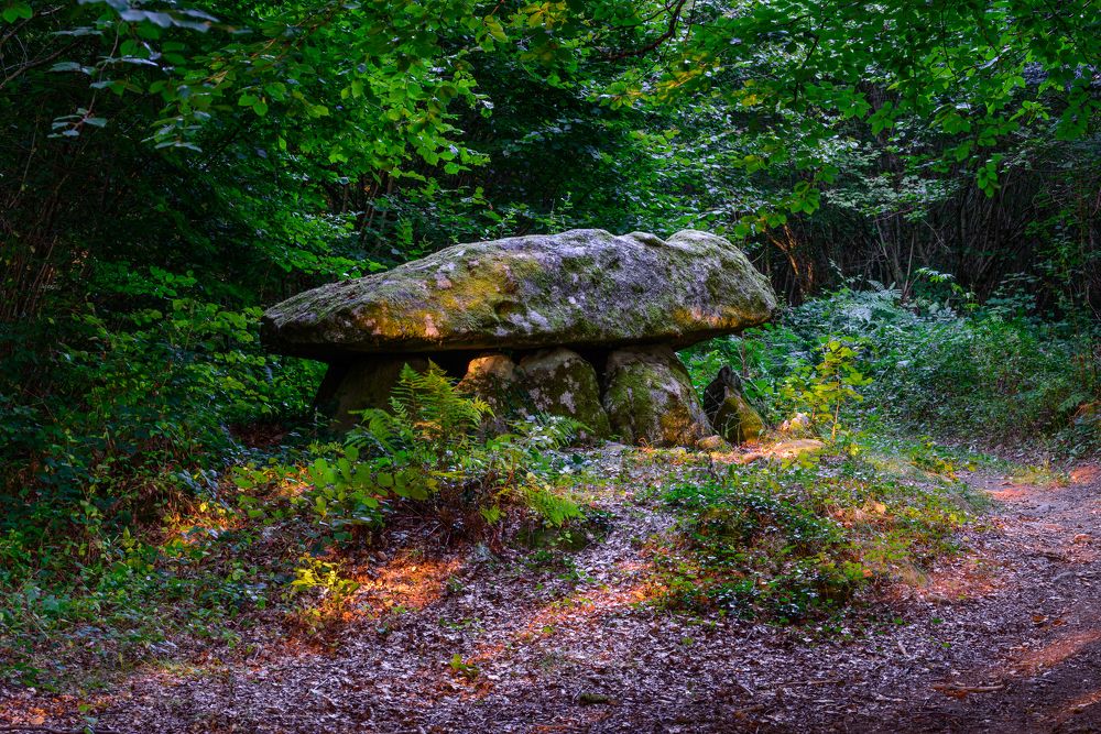 Dolmen du Ponsat