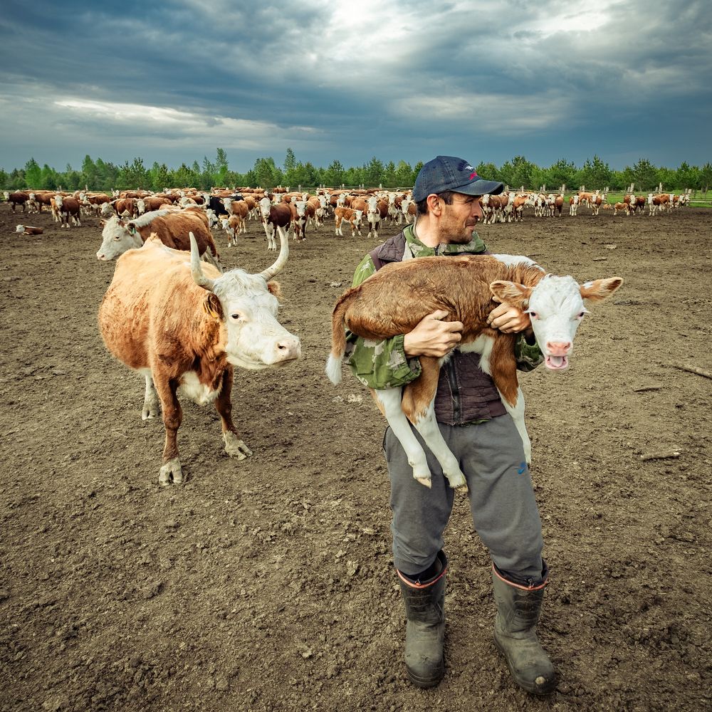 Когда отбирают ребенка