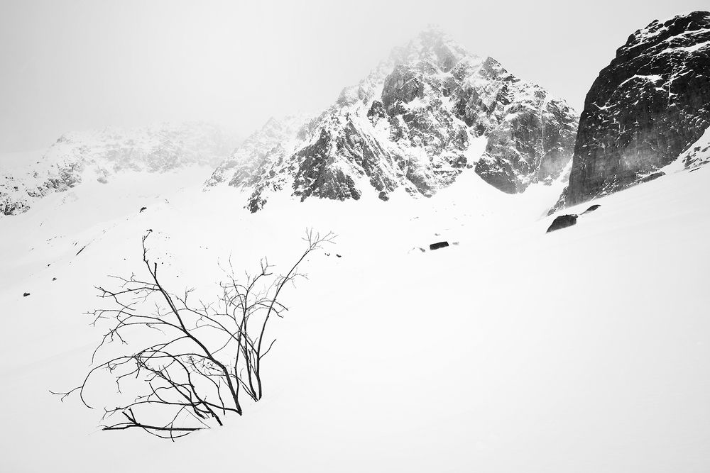 Актру в молоке