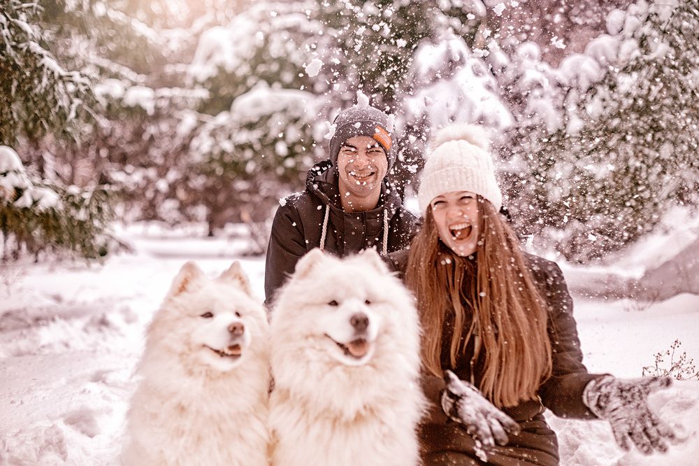 Любовь на четверых