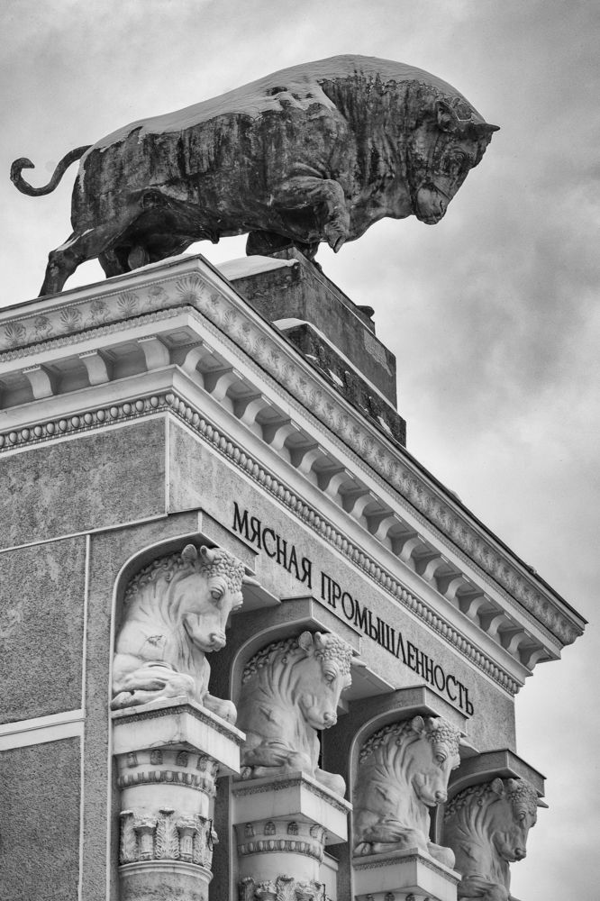 Photograph by Александр Козленков