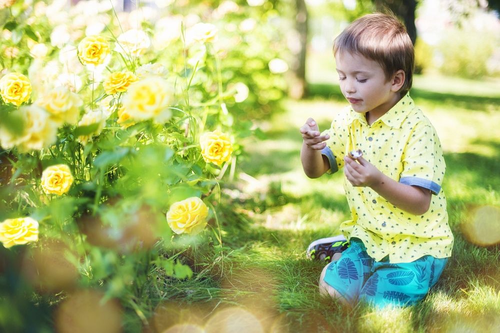 Photograph by Татьяна Золотарева