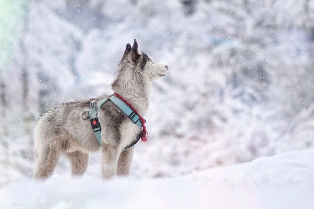 Фотография автора Мария Яропольская