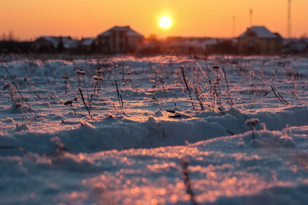 Winter
