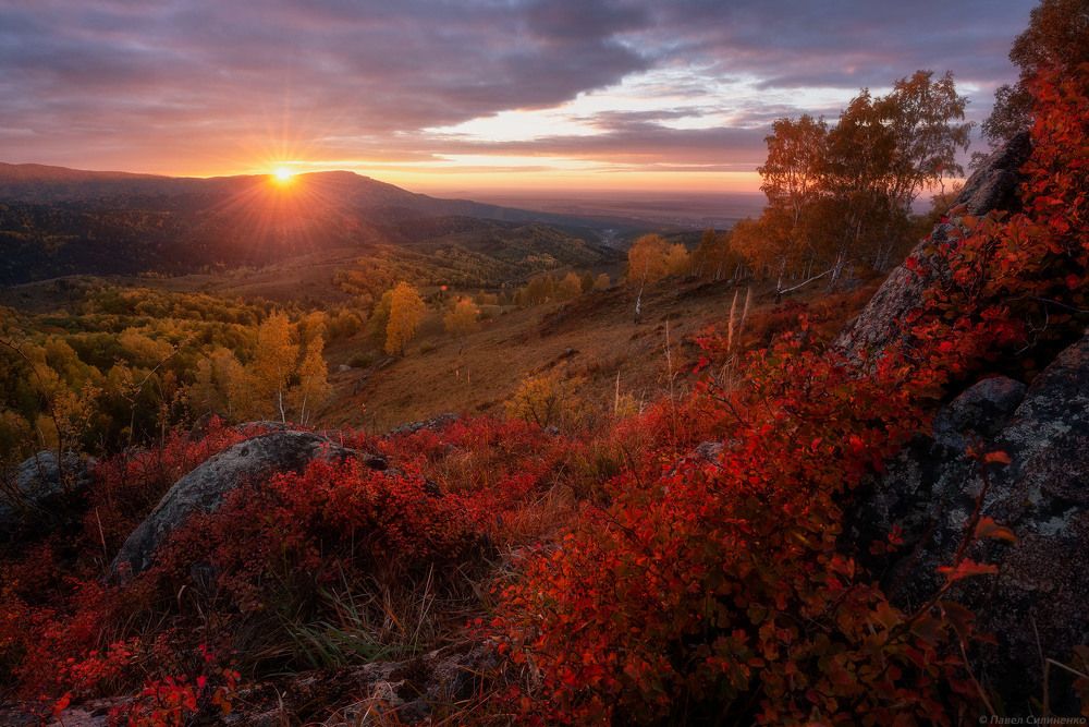 Краски осень