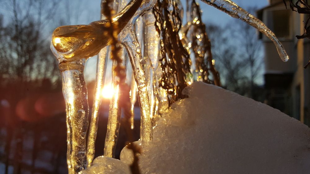 Ледяной рассвет