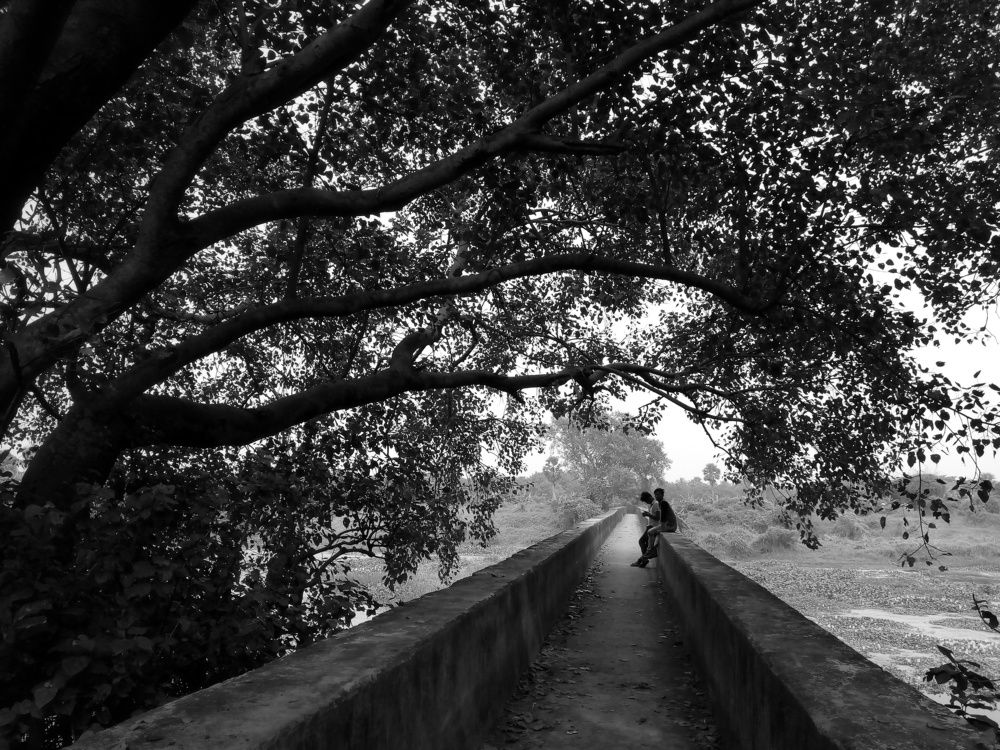 In the nature\'s lap...