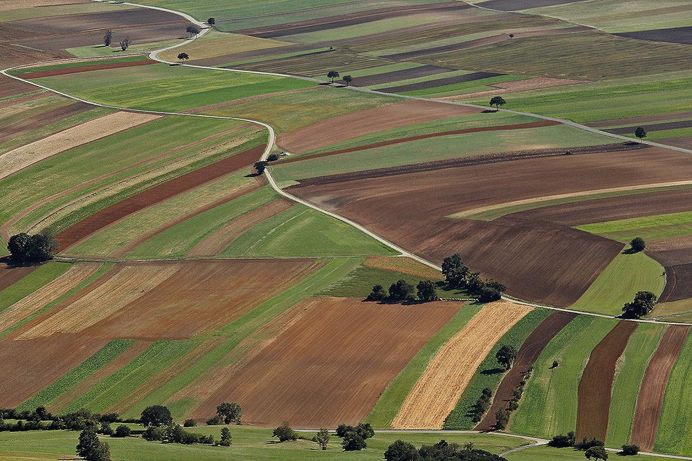 Загородные сады