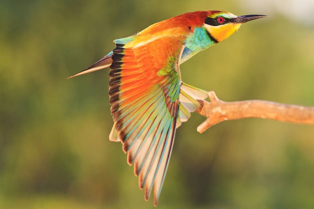 Photograph by Костянтин Пазюк