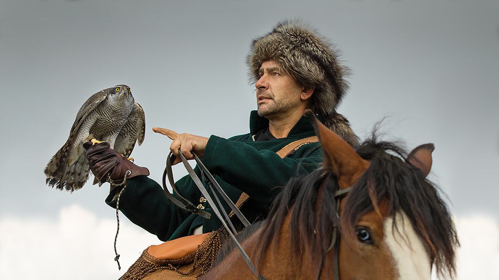 Falconry