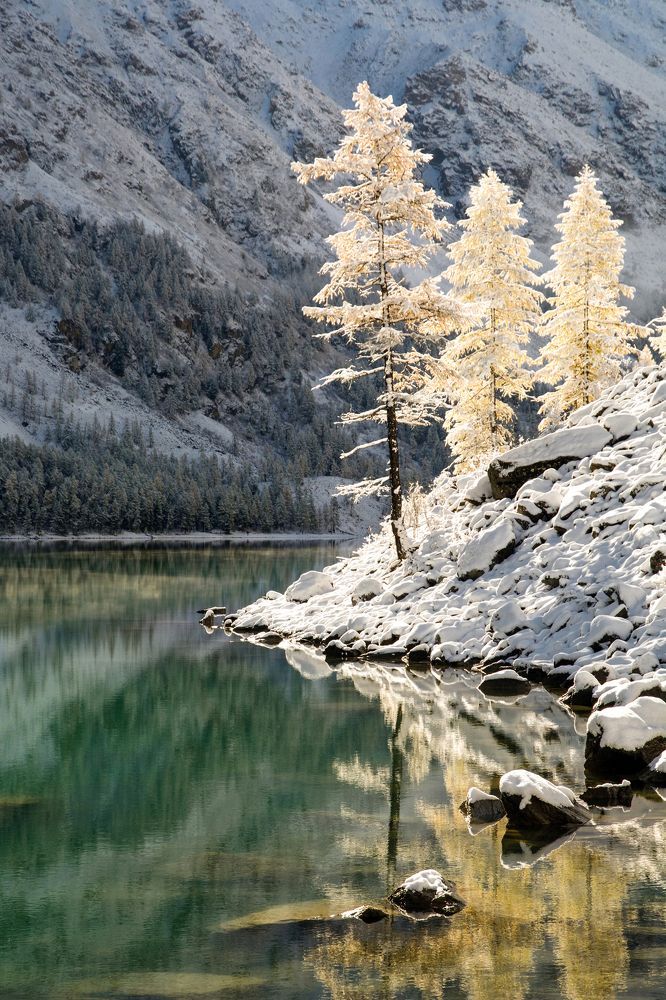 золото и серебро