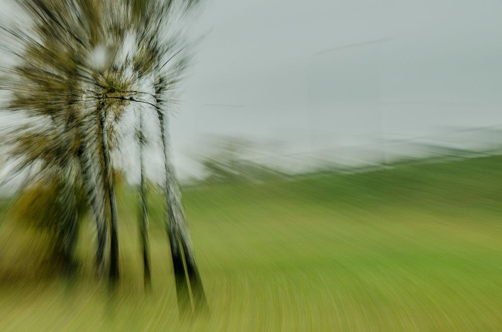 руки-ветки, 31.10.2018 года