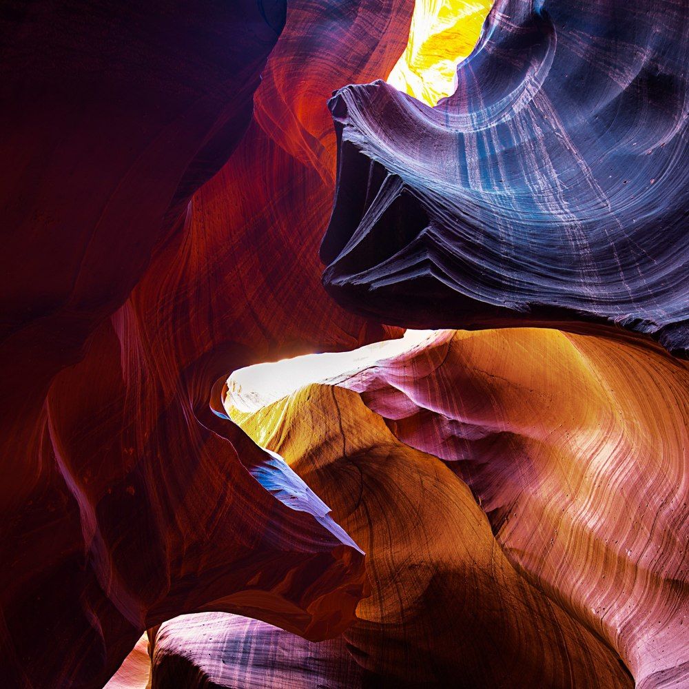 Вековые творения природы