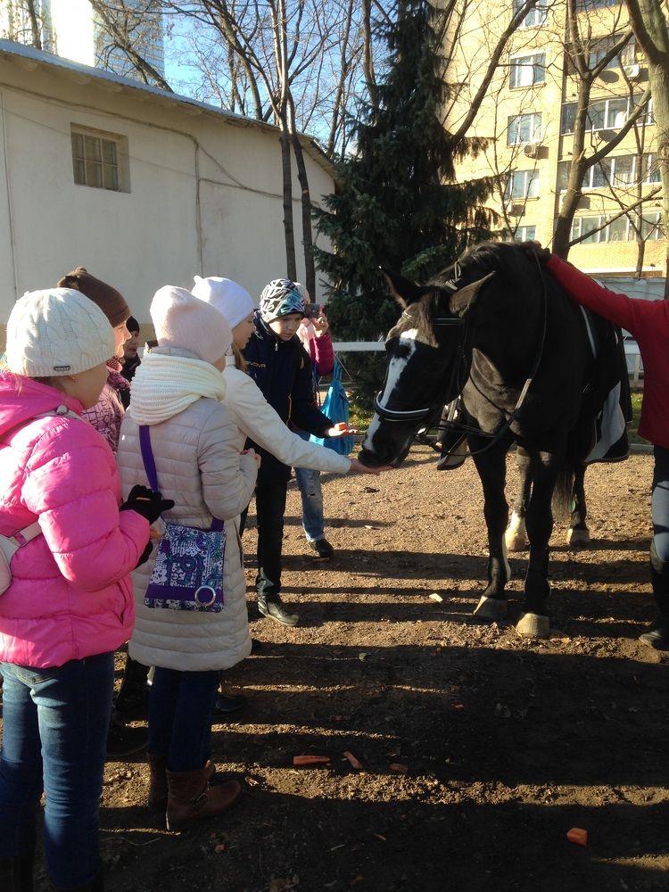 Долгожданная встреча