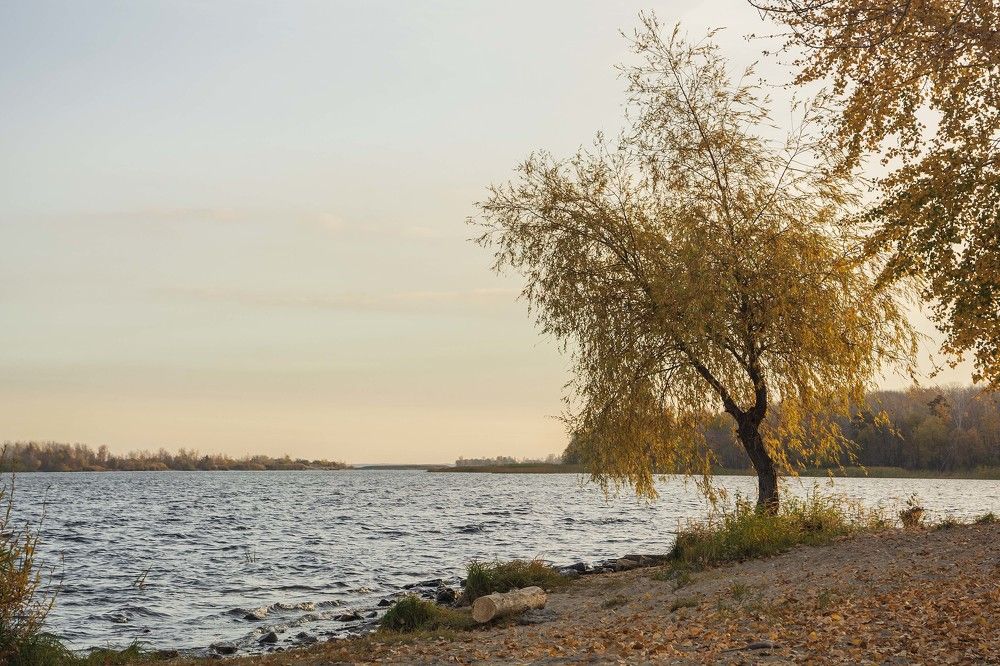 Осеннее утро