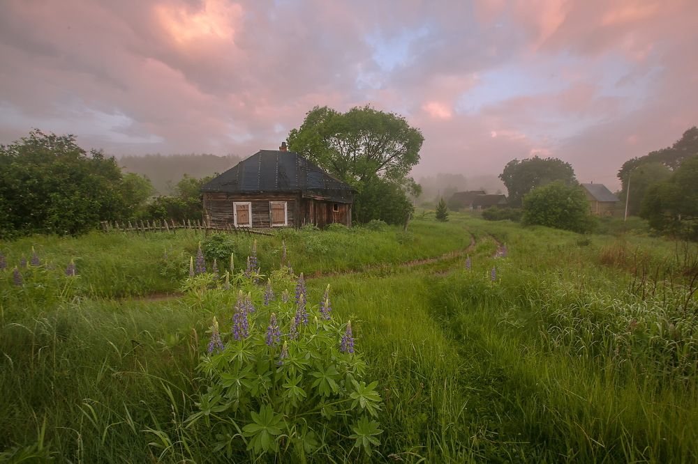 Покинутый дом