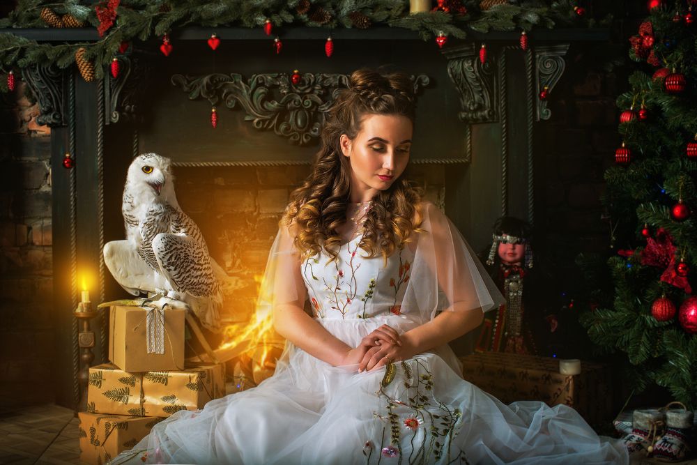 новогодняя сказка