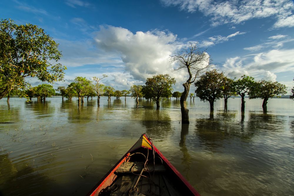 Photograph by SIMSON DAS