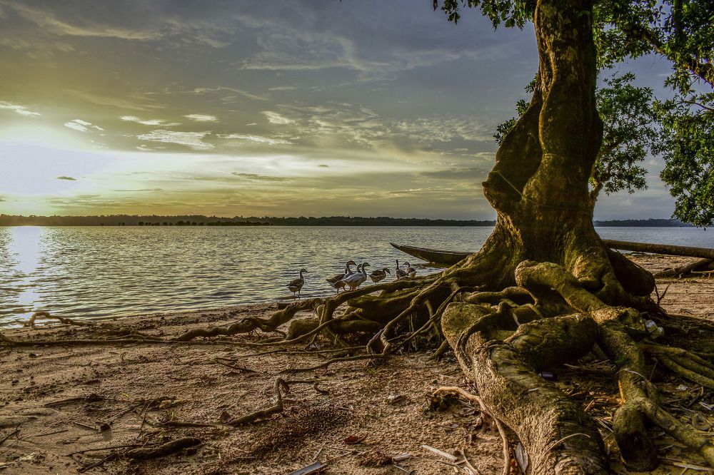 Photograph by SIMSON DAS