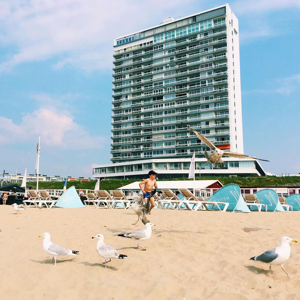 На пляжном курорте