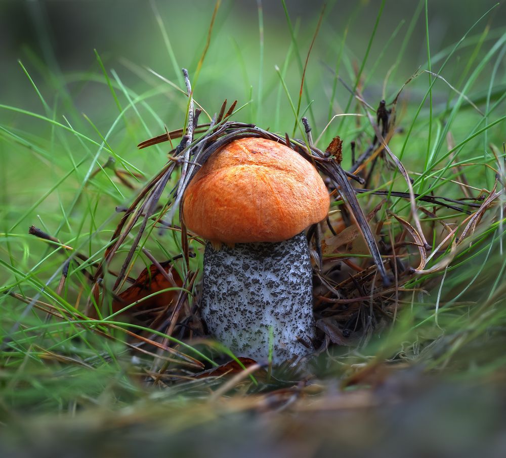 Силы природы...