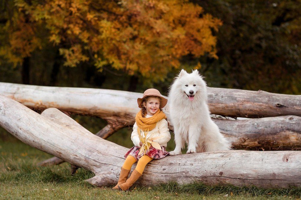 Король Воздуха