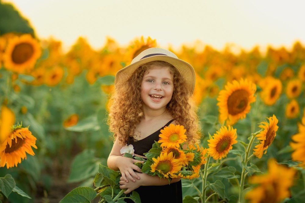 Подсолнухи