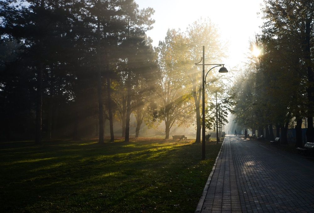 Лучистое утро