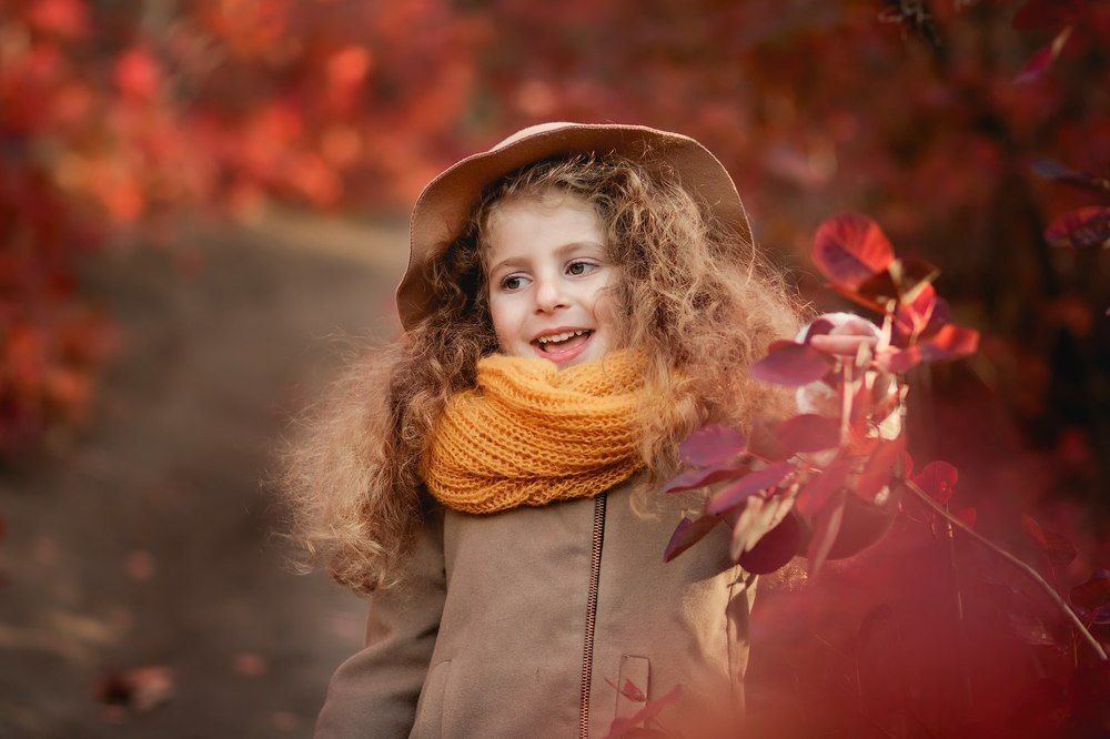 Краски осени