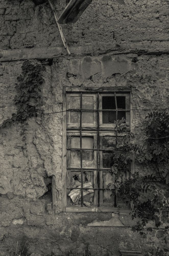 Seclusion \"Tanhai\"