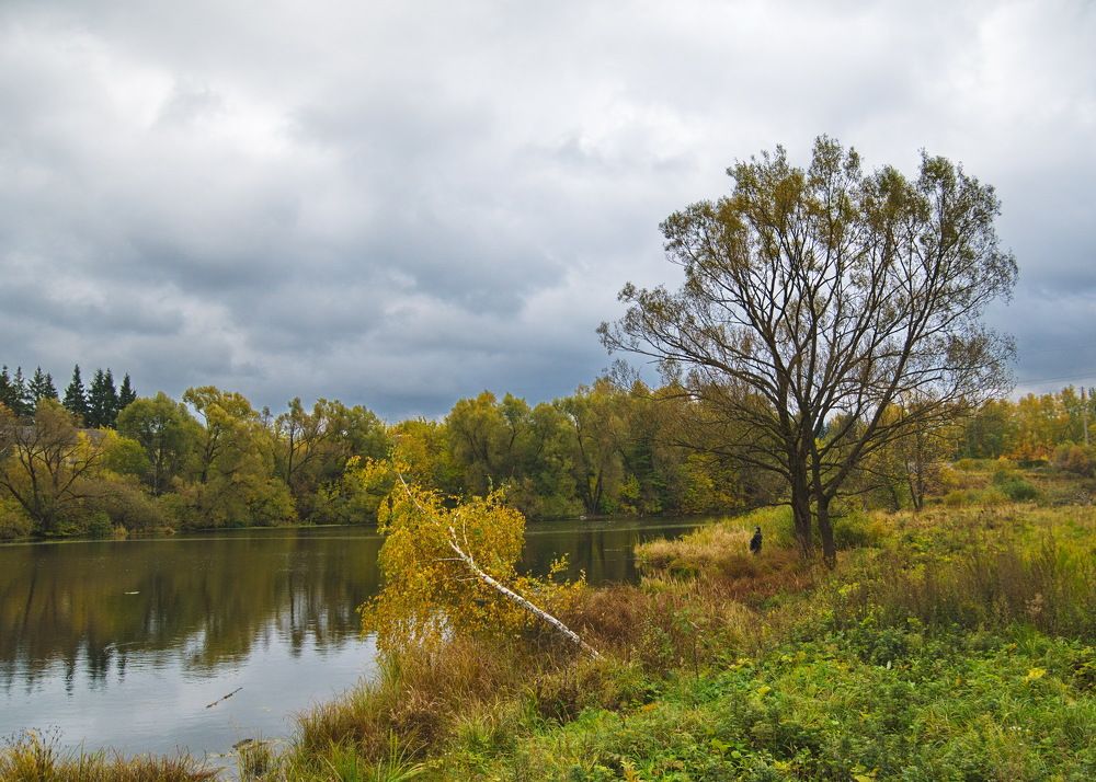 У осеннего пруда
