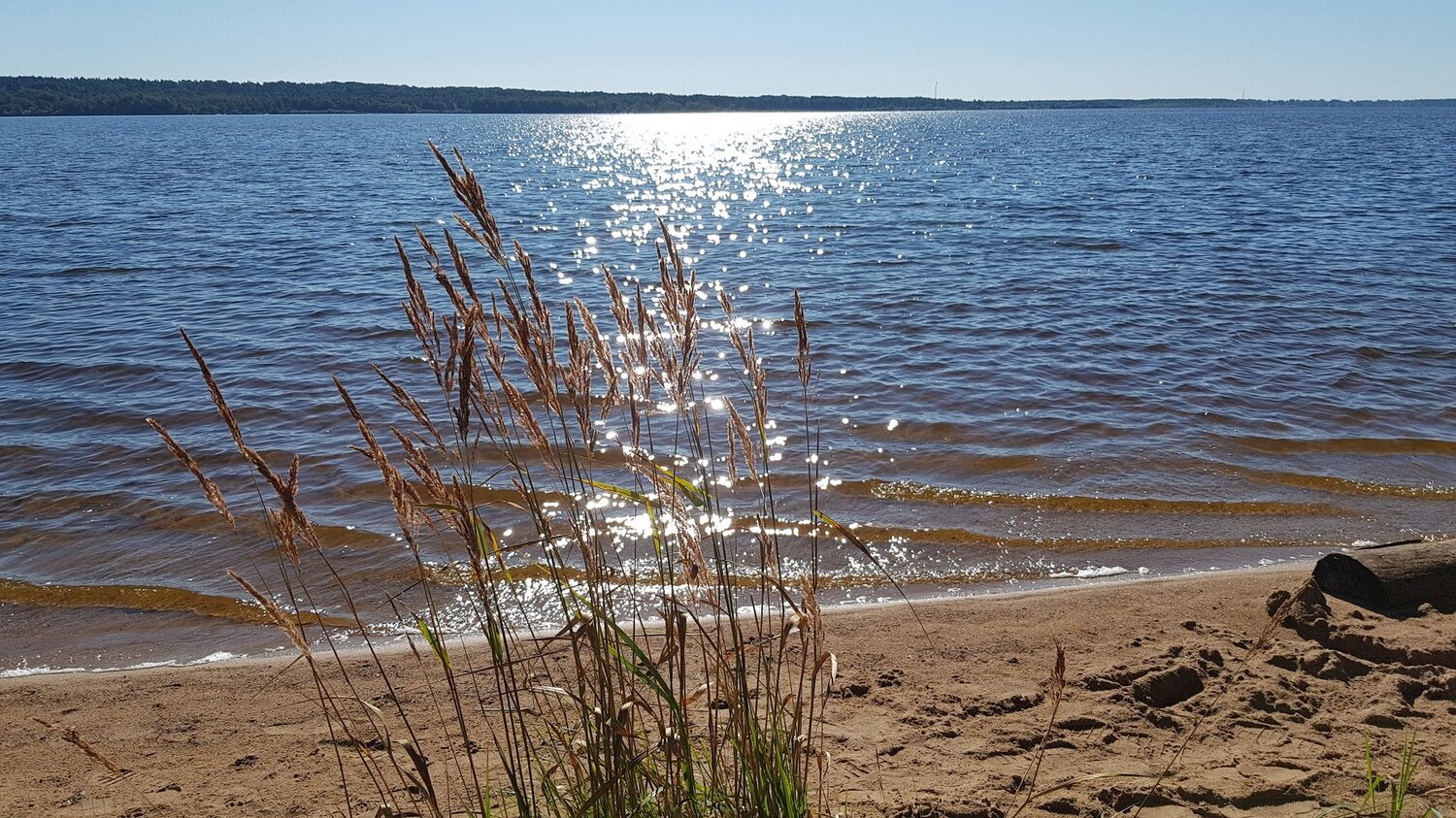 Утро на озере Пено