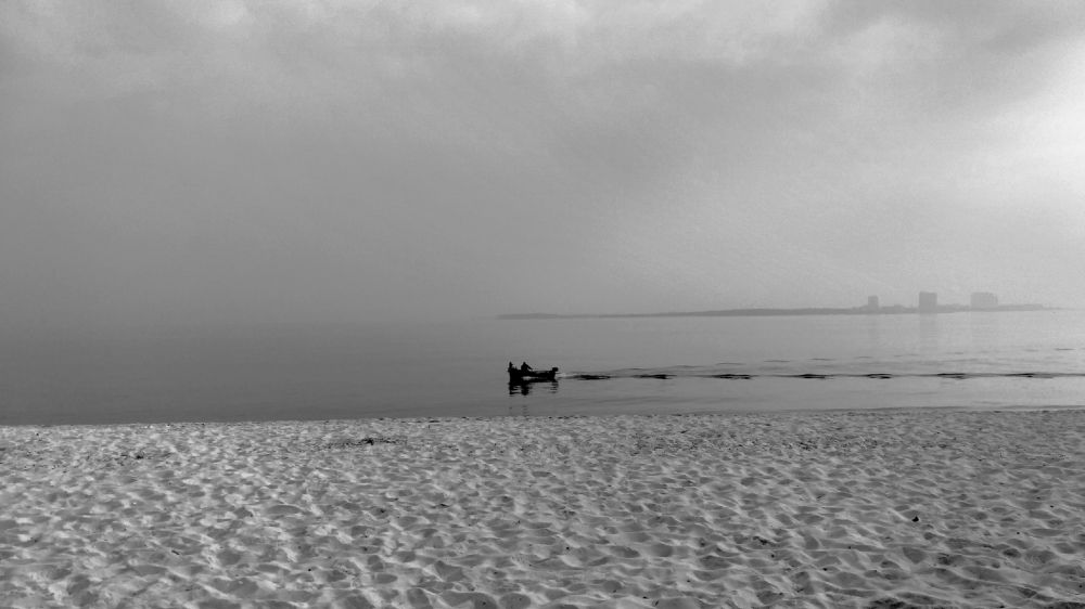 Fog